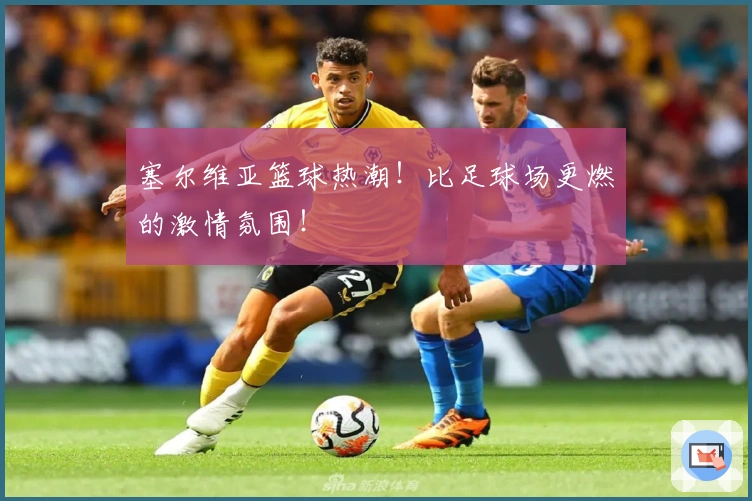 塞尔维亚篮球热潮！比足球场更燃的激情氛围！