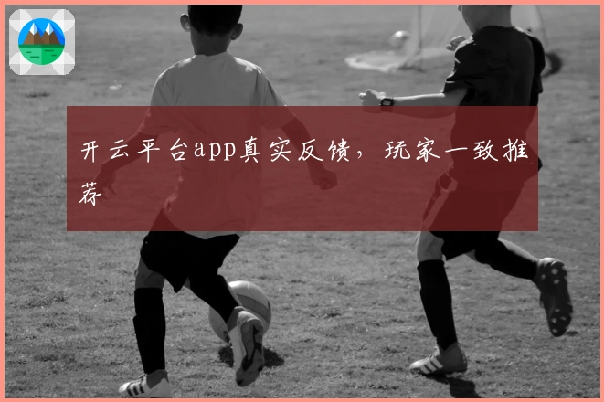 开云平台app真实反馈，玩家一致推荐
